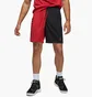 Шорти чоловічі Air Jordan M J Df Sprt Bc Mesh Gfx Short Red/Black Dm1815-687