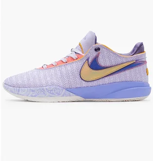 Кроссовки мужские Nike Lebron 20 Violet Dj5423-500