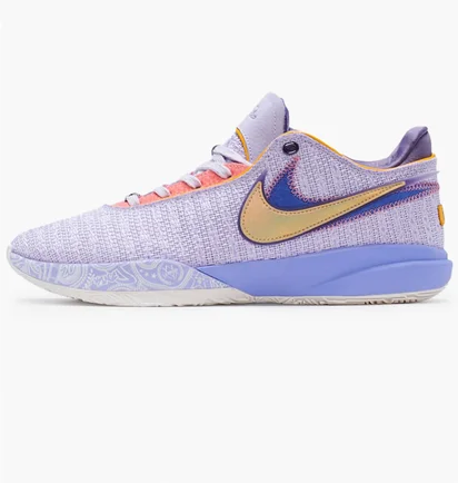 Кроссовки мужские Nike Lebron 20 Violet Dj5423-500