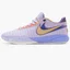 Кроссовки мужские Nike Lebron 20 Violet Dj5423-500