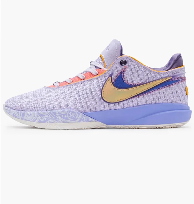 Кроссовки мужские Nike Lebron 20 Violet Dj5423-500