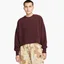 Світшот жіночий Nike Sportswear Plush Cropped Crewneck Sweatshirt Bordo Dq6844-652