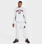 Штаны мужские Puma Team Official Emblem Graphic Sweatpants White 538901-04