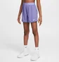Шорты детские Nike Trophy Violet FB1092-527