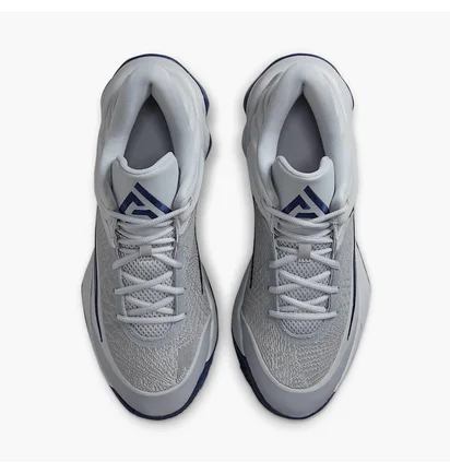 Кросівки чоловічі Nike Giannis Immortality 4 Grey FQ3680-008