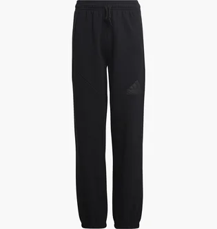 Штани дитячі Adidas Future Icons Logo Pants Black HR6286