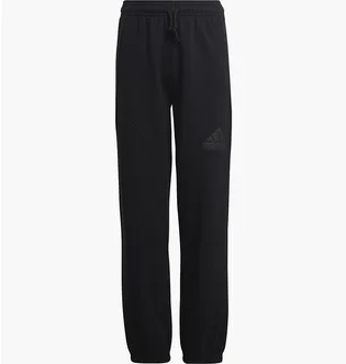 Штаны детские Adidas Future Icons Logo Pants Black HR6286