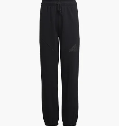 Штаны детские Adidas Future Icons Logo Pants Black HR6286