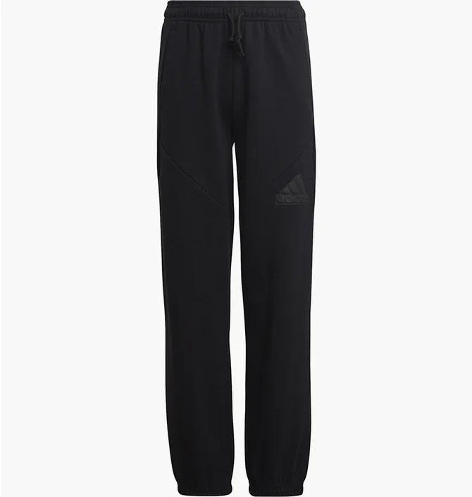 Штаны детские Adidas Future Icons Logo Pants Black HR6286