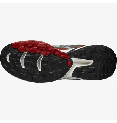 Кросівки чоловічі Salomon Xt-Wings 2 Grey 417620