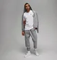 Спортивный костюм мужской Air Jordan Essentials Grey FJ7779-091__FJ7774-091