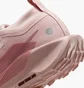 Кроссовки женские Nike Pegasus Trail 5 Gtx Peach FQ0912-601