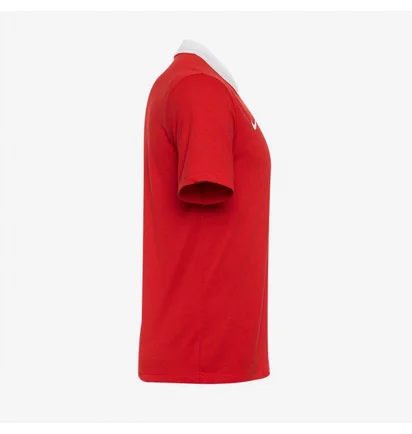 Поло чоловіче Nike Dri-Fit Park 21 Ss Polo Red CW6933-657