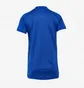 Футболка женская Adidas Condivo 20 Training Jersey Blue FJ7532
