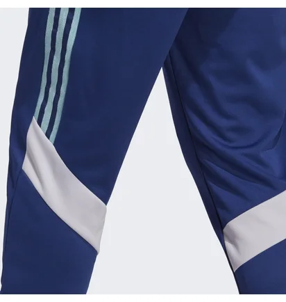 Штани чоловічі Adidas Tiro Pants Blue Hs7489