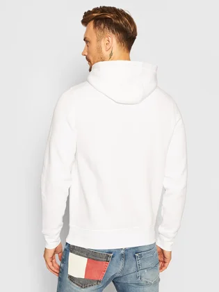 Худі чоловіче Tommy Hilfiger Logo Beige MW0MW11599