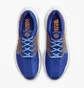 Кросівки чоловічі Nike Pegasus Turbo Next Nature Blue Fd0717-400