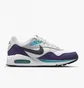 Кросівки жіночі Nike Womens Shoes White/Violet 511417-153