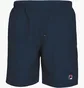 Шорти чоловічі Fila Santana Blue FBM142005100