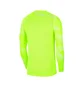 Лонгслів дитячий Nike Y Nk Df Park Iv Jsy Ls Gk Green Cj6072-702