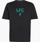 Футболка мужская Adidas Lfc Black JZ2541
