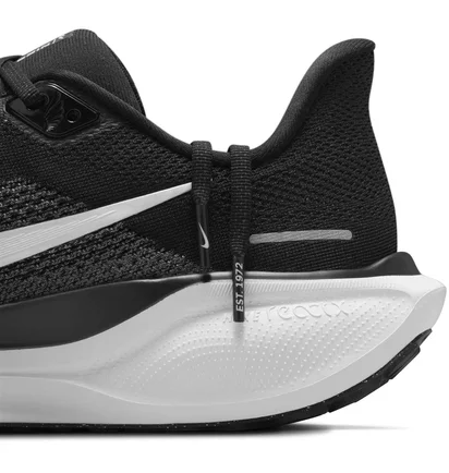 Кросівки чоловічі Nike Pegasus 41 Black FD2722-002