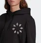 Худі чоловіче Adidas Adicolor Spinner Hoodie Black Hc4490