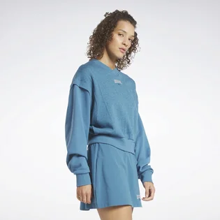 Худі жіноче Reebok Classics Varsity Light Blue Hs0364