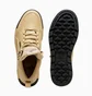 Кроссовки мужские Puma Tarrenz Sb Iii Puretex Beige 393930-02