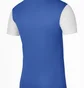 Футболка детская Nike Y Nk Df Tiempo Prem Ii Jsy Ss Blue Dh8389-463