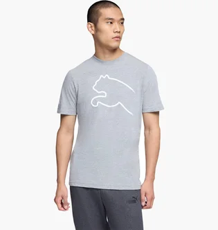 Футболка мужская Puma House Of Graphics Grey 691933-03