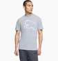 Футболка мужская Puma House Of Graphics Grey 691933-03
