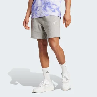 Шорты мужские Adidas All Szn French Terry Grey IY4152
