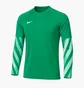 Кофта детская Nike Dri-Fit Park V Gk Green HV8318-324