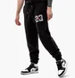Штаны мужские Air Jordan M J Sprt Dna Flc Pant Black DJ0190-010