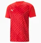 Футболка чоловіча Puma Teamultimate Red 705371-01