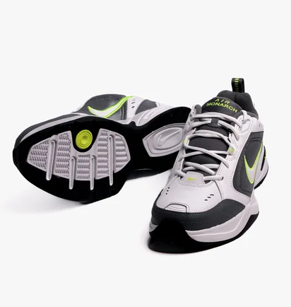 Кроссовки мужские Nike Air Monarch Iv Grey 415445-100