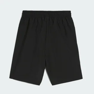 Шорти чоловічі Puma Desert Road Cargo Shorts 9 Black 678922-01