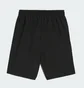 Шорты мужские Puma Desert Road Cargo Shorts 9 Black 678922-01