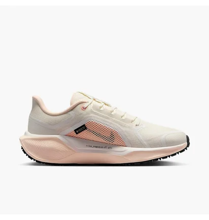 Кросівки жіночі Nike W Pegasus 41 Gore Tex Beige FQ1357-100
