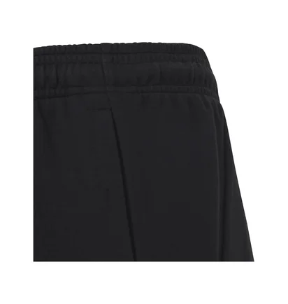 Штаны детские Adidas Future Icons Logo Pants Black HR6286