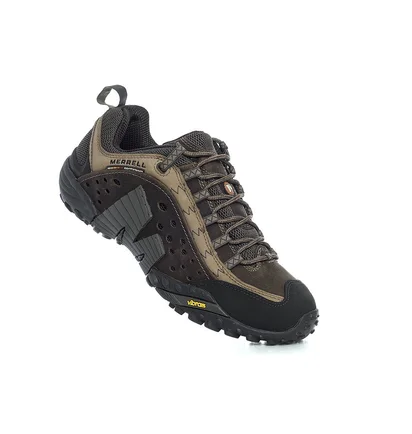 Кроссовки мужские Merrell Intercept Brown J73705