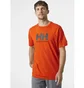 Футболка мужская Helly Hansen Logo T-Shirt Orange 33979-300