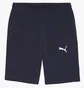 Шорты детские Puma Teamgoal Casuals Shorts Blue 658609-06