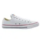 Кеды унисекс Converse Chuck Taylor All Star White 132173C