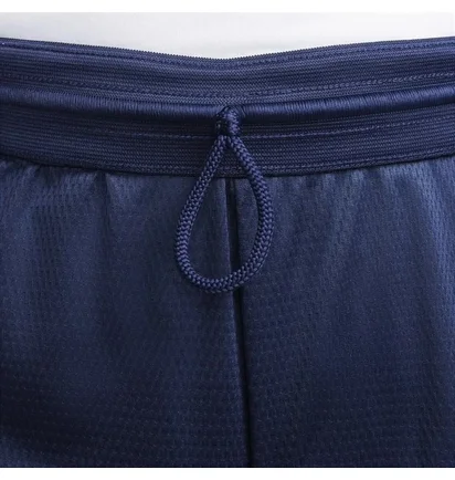 Шорты мужские Nike Df Icon 8In Blue DV9524-411