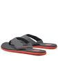 Тапочки мужские Helly Hansen Logo Sandal Grey 11600-980
