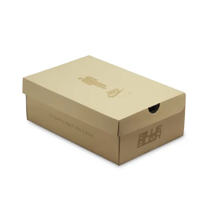 Кросівки чоловічі Nike Air Force 1 Sp X Billie Eilish Mushroom Beige DQ4137-200
