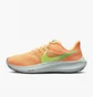 Кросівки жіночі Nike Air Zoom Pegasus 39 Orange Dh4072-800