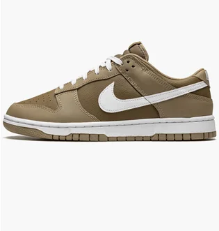 Кроссовки мужские Nike Dunk Low Retro Brown DJ6188-200